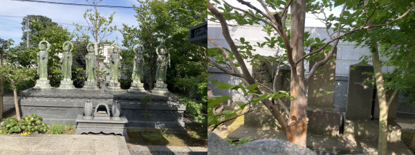 3386950c82b281735964f24bf1ea12b1.png 3386950c82b281735964f24bf1ea12b1.png