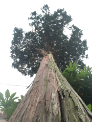 06880334ab927d833c353849b5e27131.png 06880334ab927d833c353849b5e27131.png