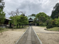 c89b876a0283e33f1874b4209b39b269.png c89b876a0283e33f1874b4209b39b269.png